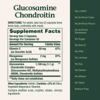 Glucosamina con Condroitina para la Salud de las Articulaciones - 110 Cápsulas