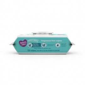 Toallitas Húmedas (3 Paquetes de 100 toallitas) Parent's Choice Fragrance Free Baby Wipes